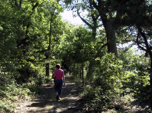 Quiet Walk Along Fresh River Path